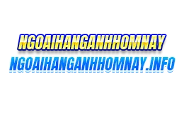 ngoaihanganhhomnay
